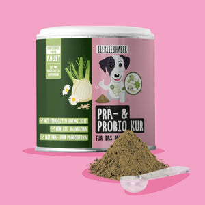 Prä & Probio Kur