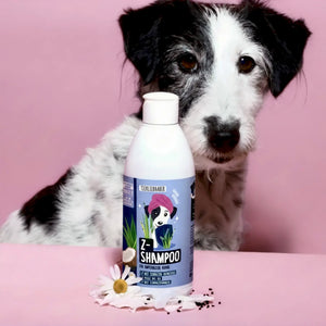 Z-Shampoo