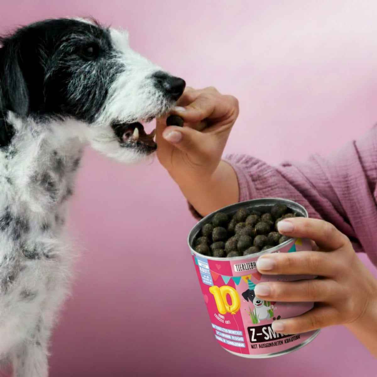 Z-Snack: Jubiläums Edition