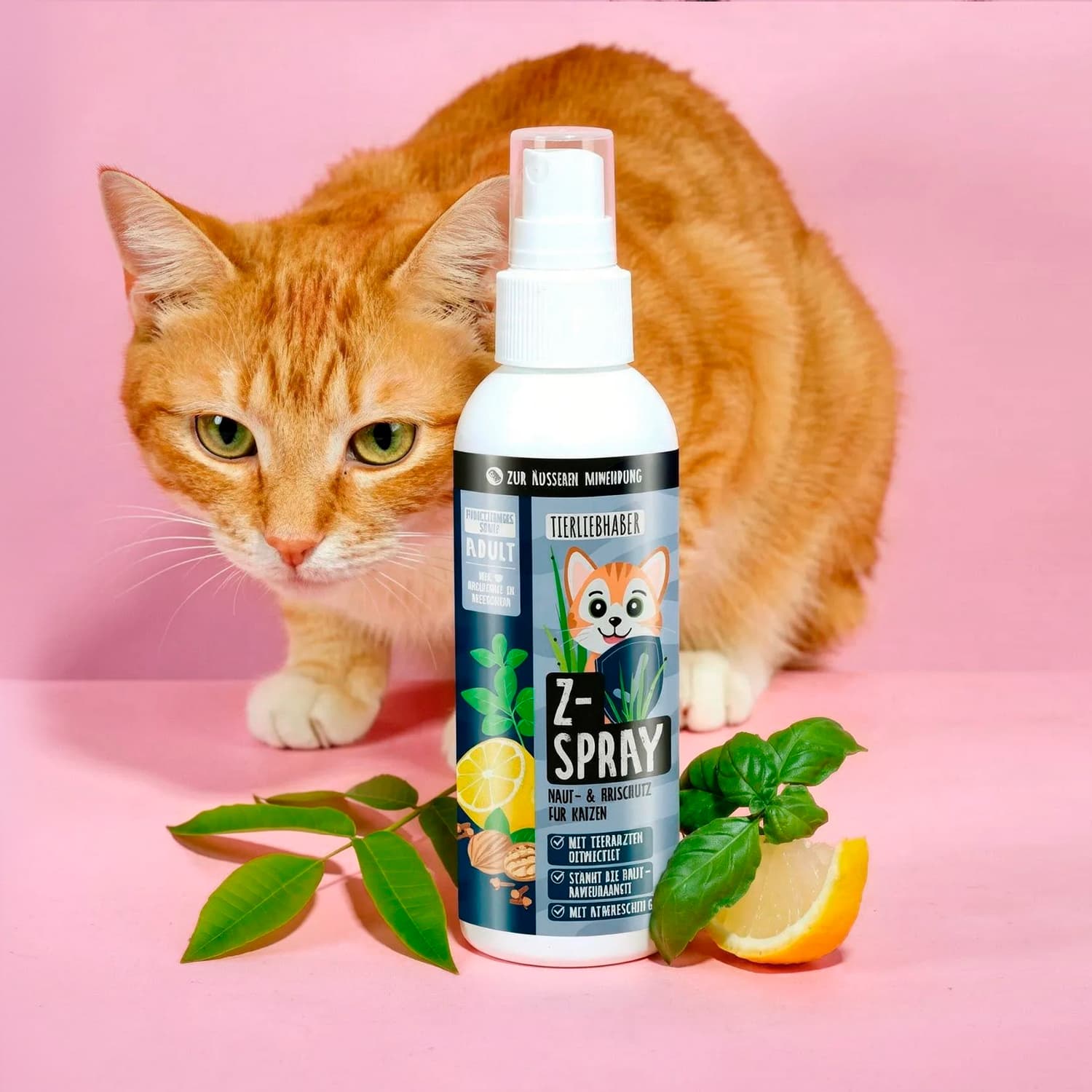 Z-Bundle Katze