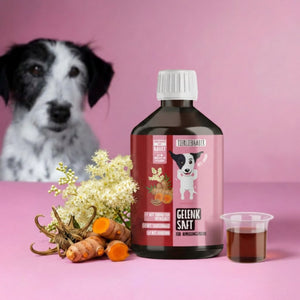 Gelenk Saft
