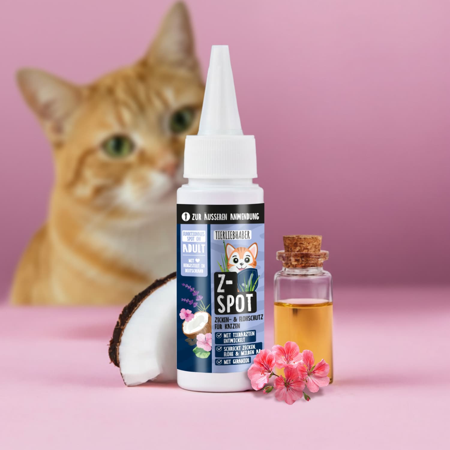 Z-Spot Katze