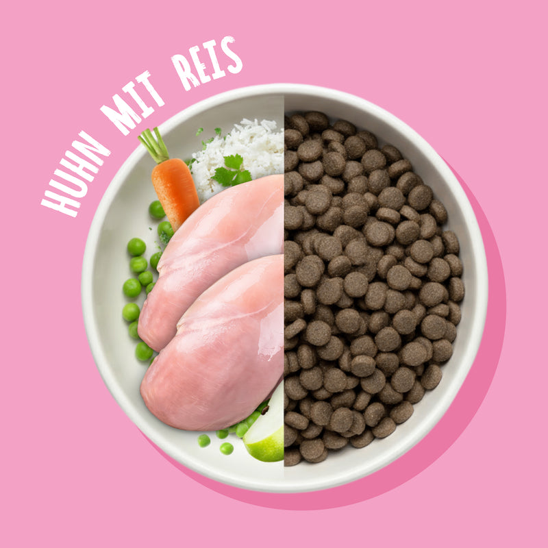 Trockenfutter Probier Paket 3x250g