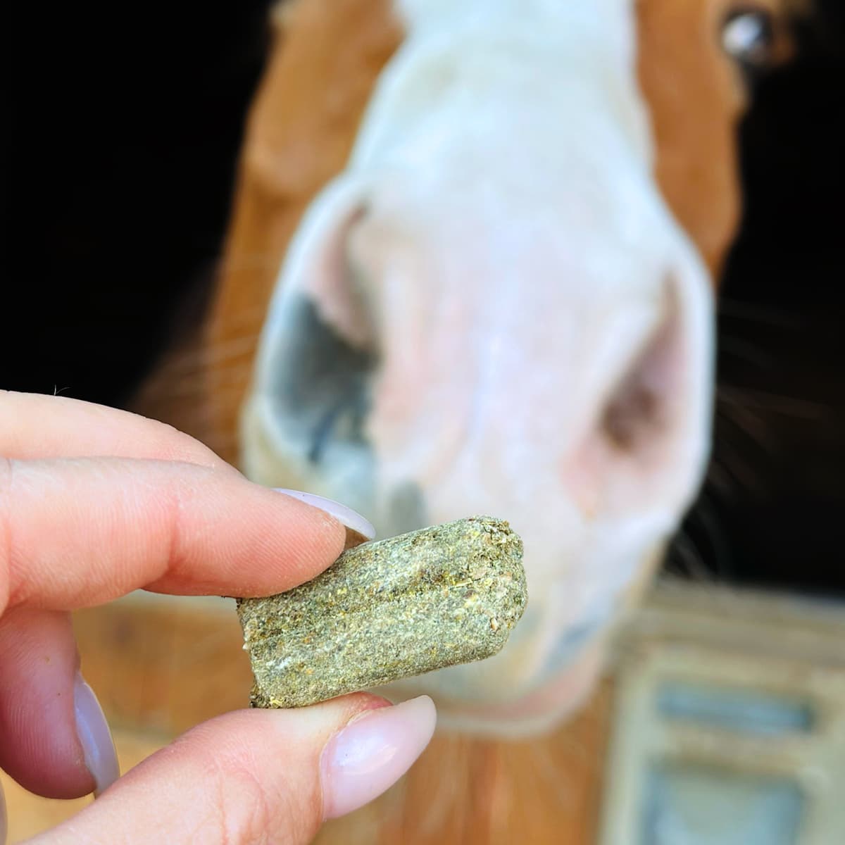 Mineralsnack Pferd