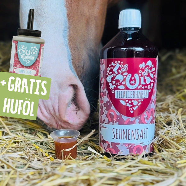 Sehnen Saft Pferd