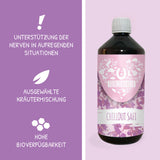 Chilloutsaft Pferd 6er Bundle