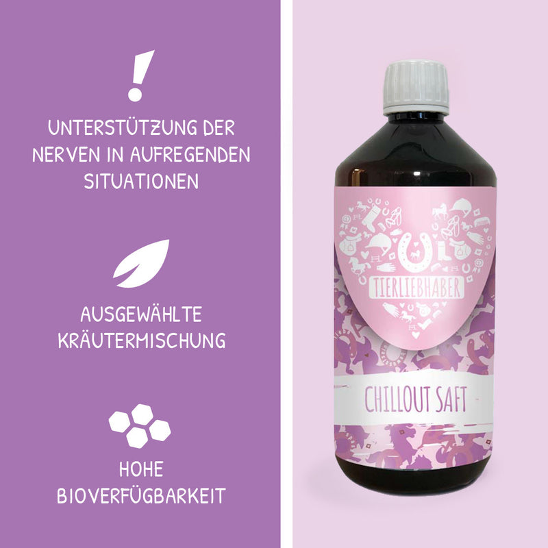 Chilloutsaft Pferd 6er Bundle
