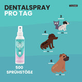 Dentalspray + Gratis Travelsize Bundle