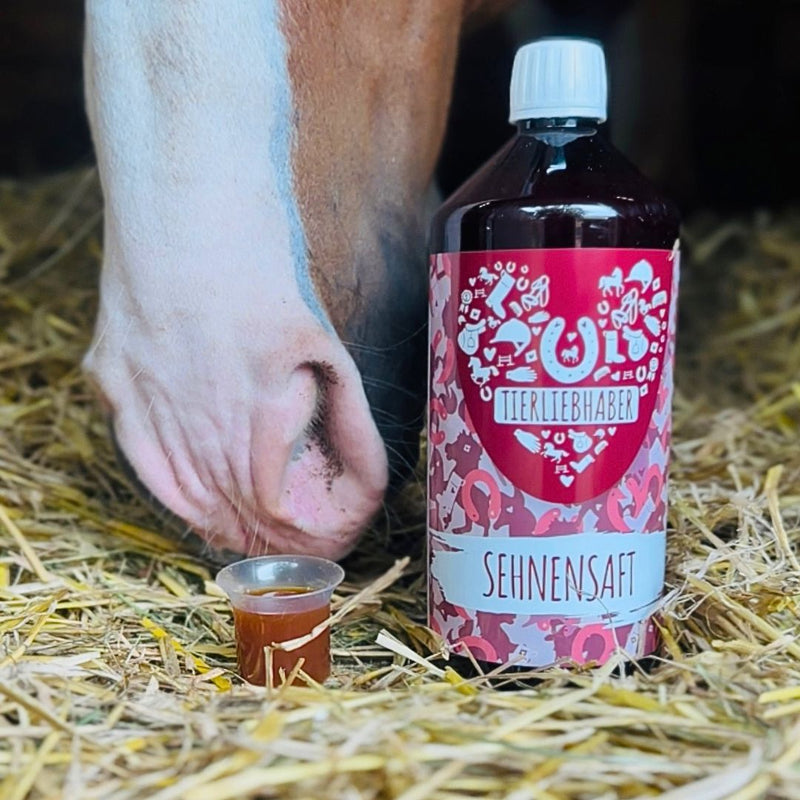 Sehnen Saft Pferd