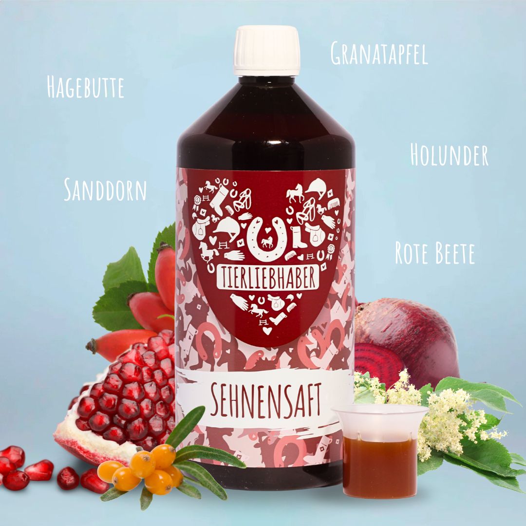 Sehnen Saft Pferd