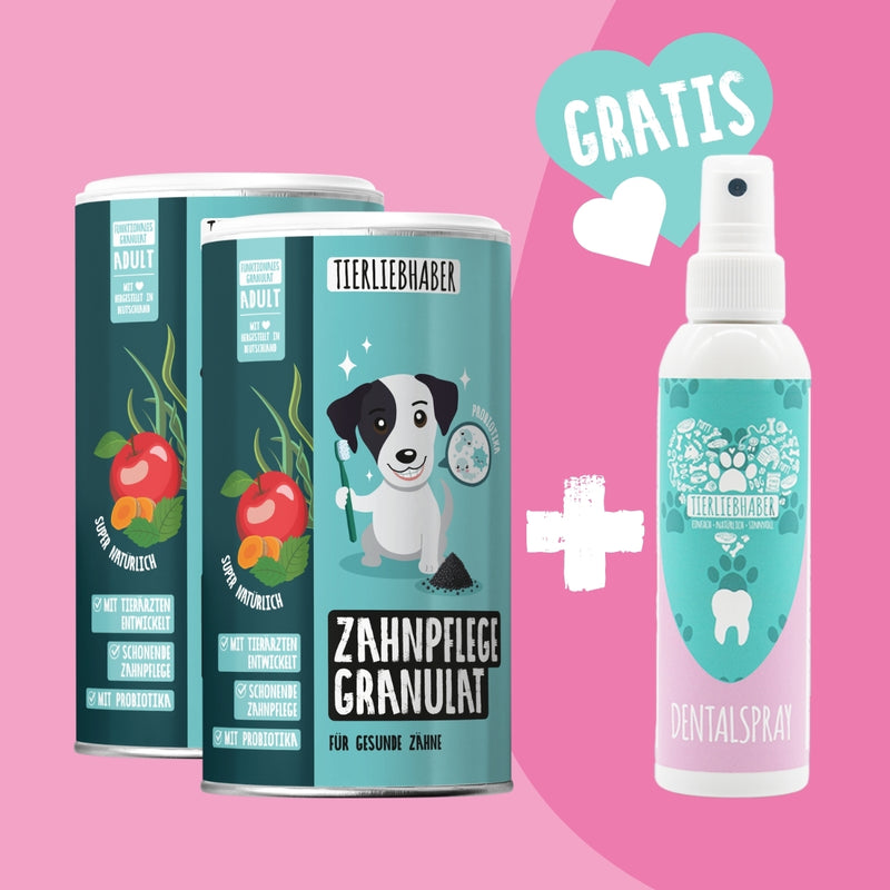 Weiße Zähne Paket