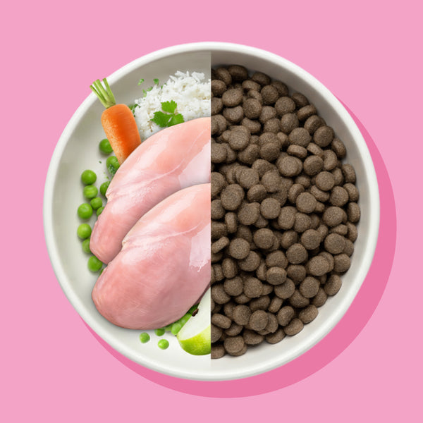 Trockenfutter Huhn mit Reis