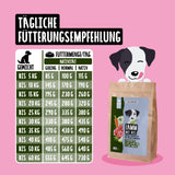 Trockenfutter Lamm mit Reis