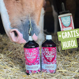 Sehnen & Gelenke Bundle Pferd