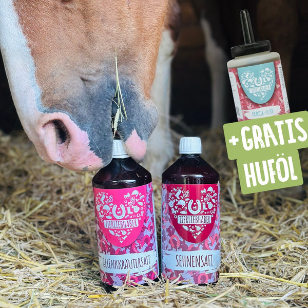 Sehnen & Gelenke Bundle Pferd