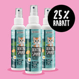 Dentalspray für Katzen