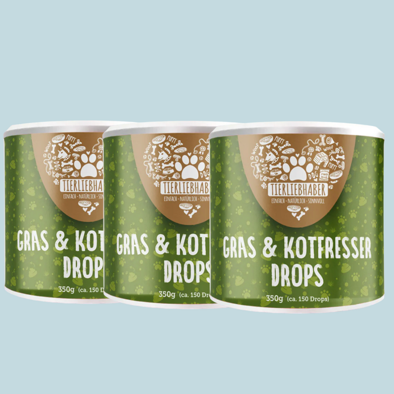 Sodbrennen Kur für Hunde 