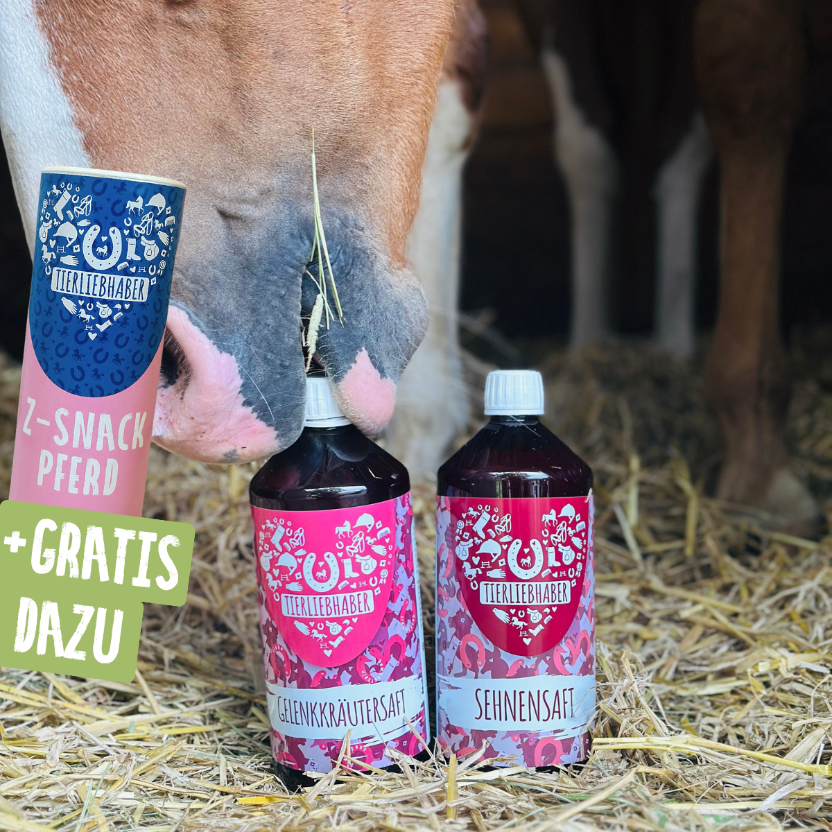 Sehnen & Gelenke Bundle Pferd