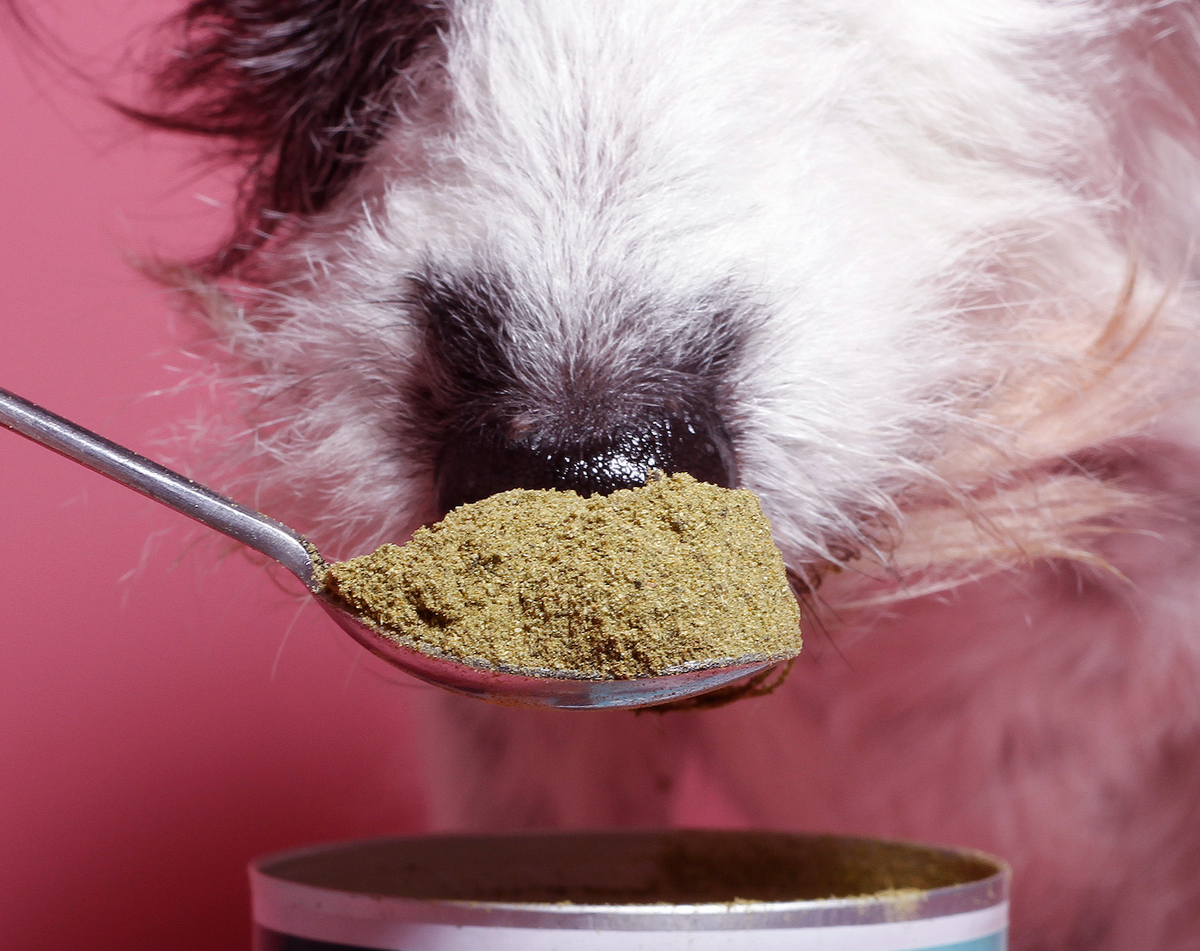 Gras & Kotfresser Pulver