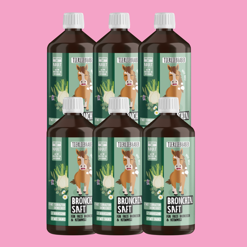 Bronchialsaft Pferd 6er Bundle