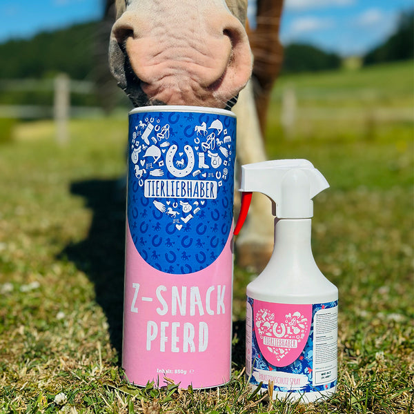 Schutz Paket Pferd