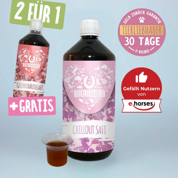 Chilloutsaft Pferd