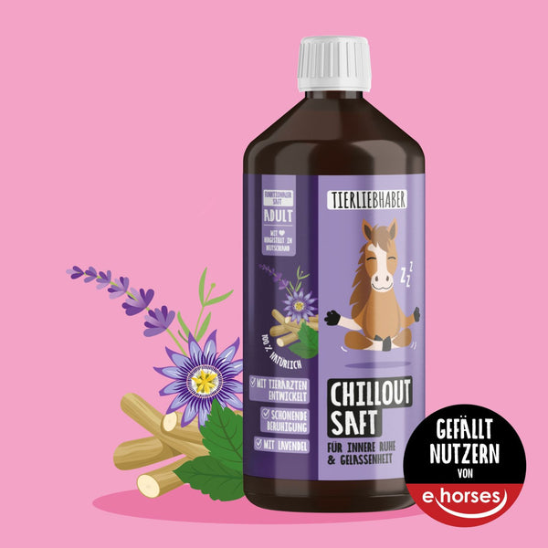 Chilloutsaft Pferd