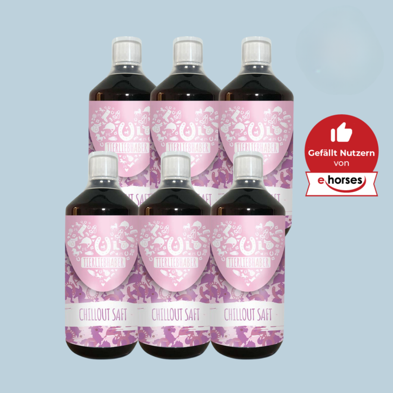 Chilloutsaft Pferd 6er Bundle