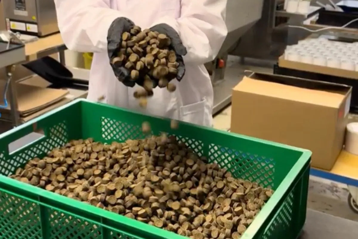 Herstellung in Deutscher Manufaktur