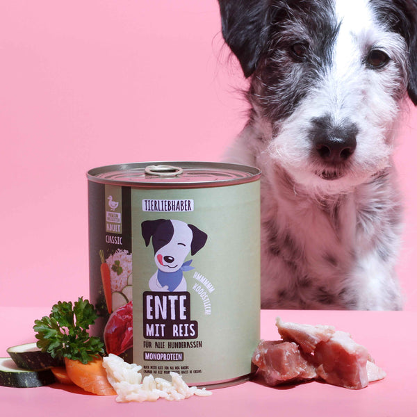 Nassfutter Ente mit Reis 800g