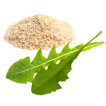 Flohsamenschalen & Löwenzahn