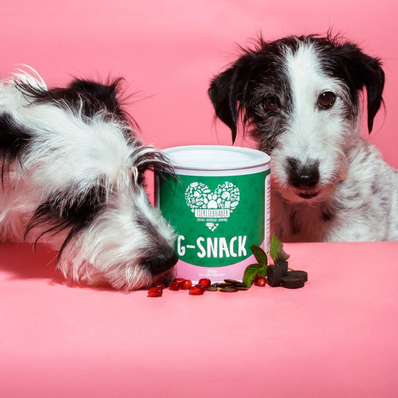 G-Snack