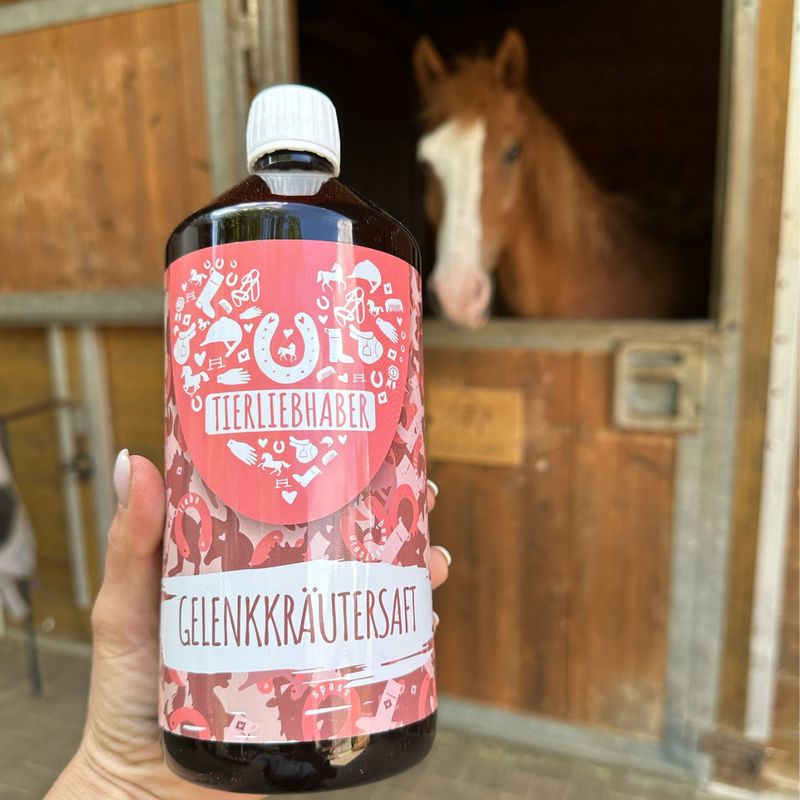 Sehnen & Gelenke Bundle Pferd