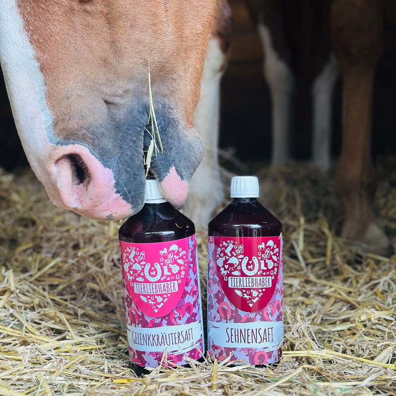 Sehnen & Gelenke Bundle Pferd