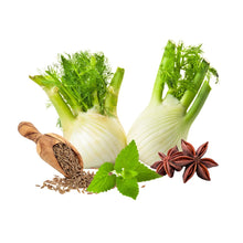 Melisse, Fenchel, Anis und Kümmel