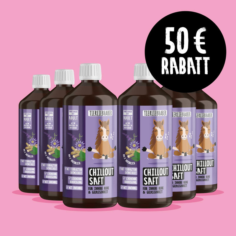 Chilloutsaft Pferd