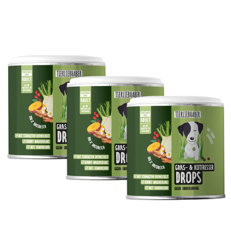 Sodbrennen Kur für Hunde