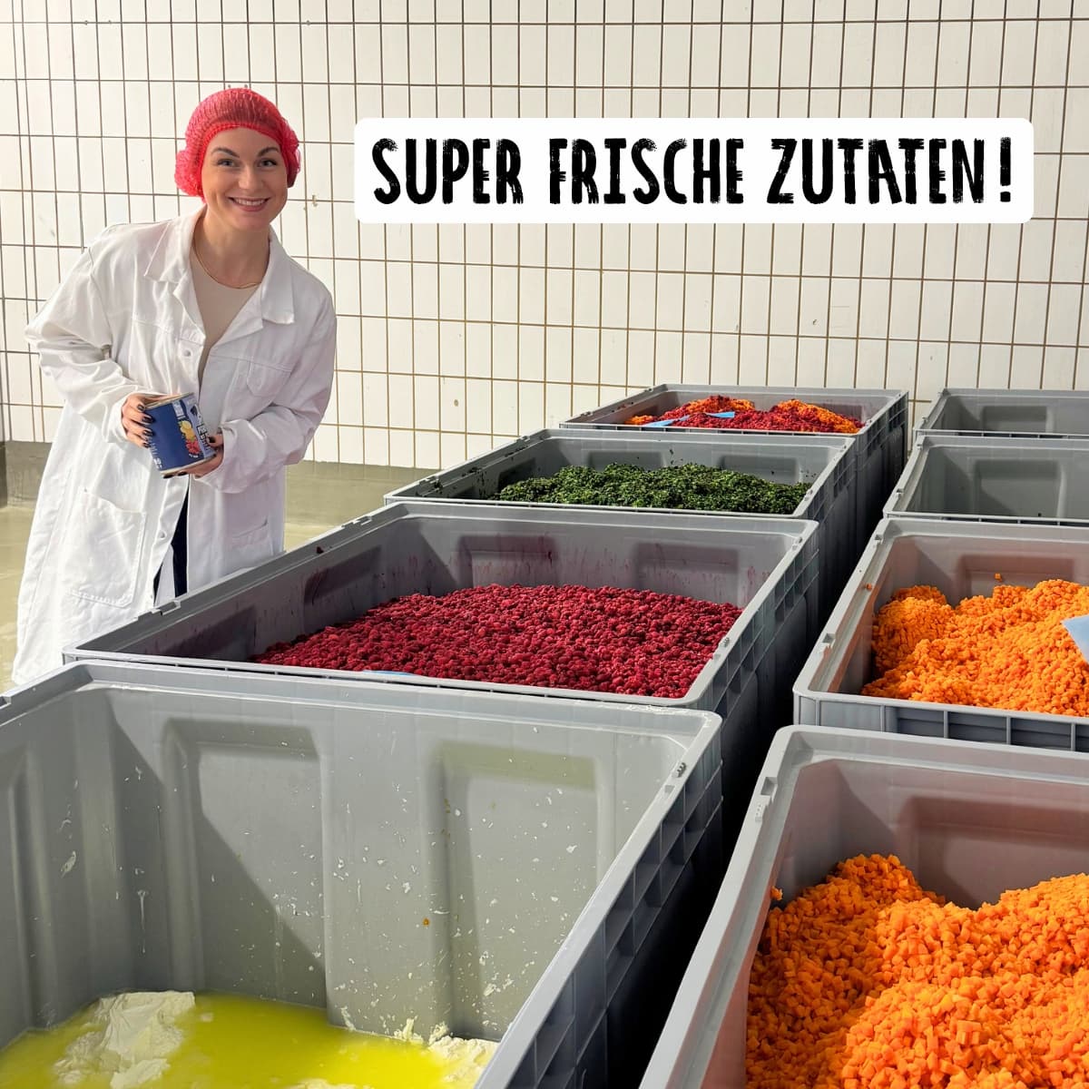 Nassfutter Rind mit Gemüse 400g – Tierliebhaber