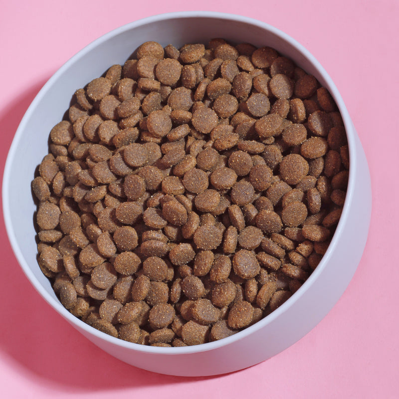 Trockenfutter Rind mit Reis