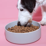 Trockenfutter Huhn mit Reis