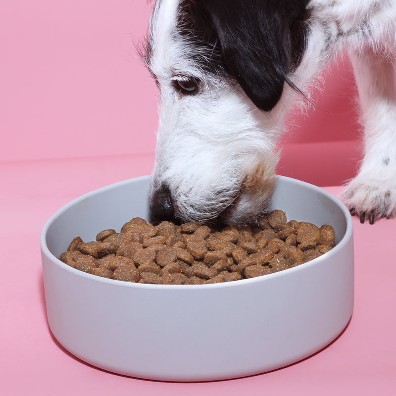 Trockenfutter Probier Paket 3x250g