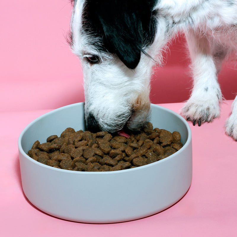 Trockenfutter Lamm mit Reis