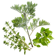 Wermut, Oregano & Thymian