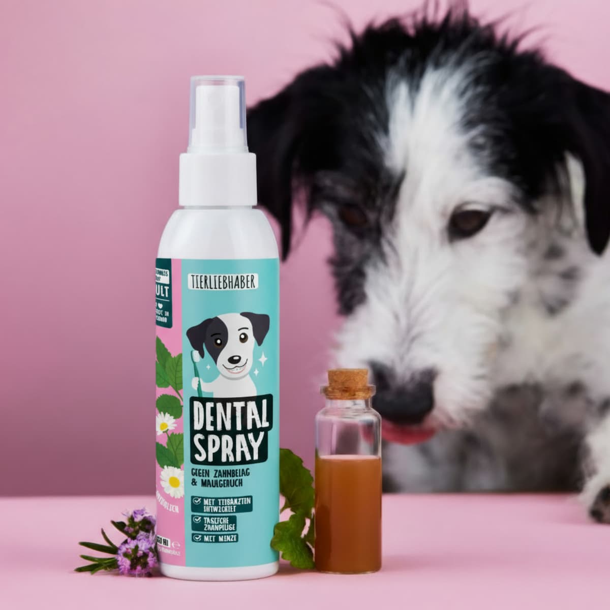 Dentalspray