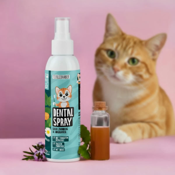 Dentalspray für Katzen