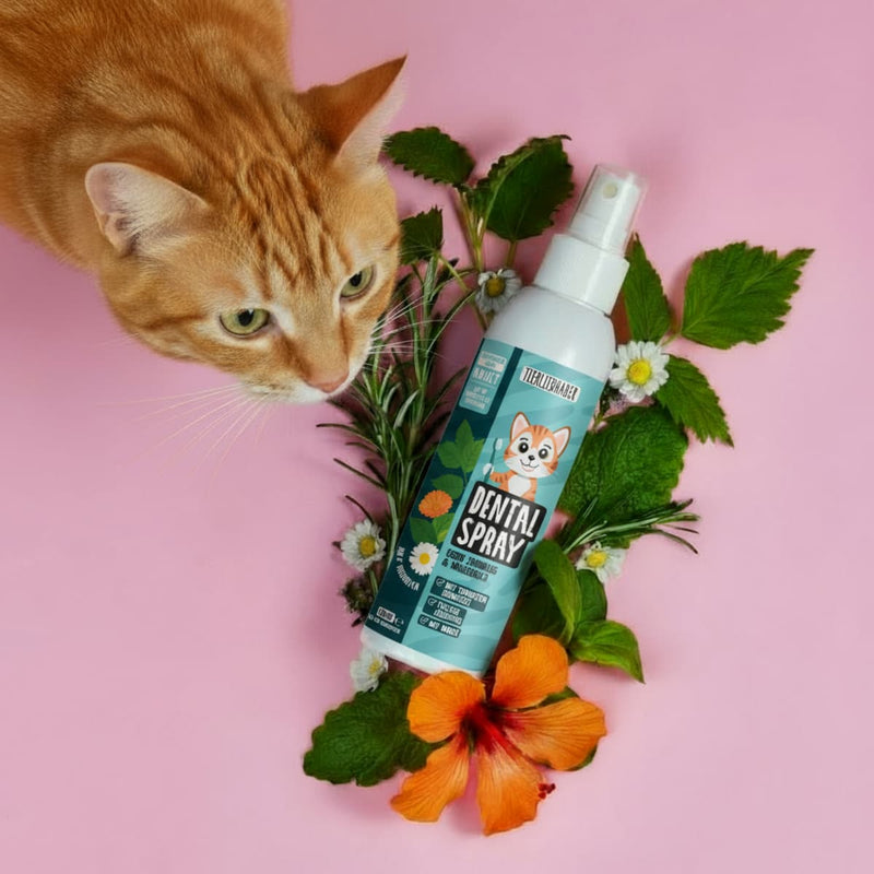 Dentalspray für Katzen
