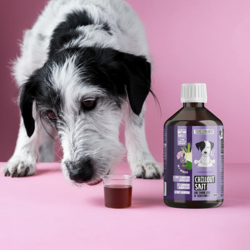Chillout Saft für Hunde