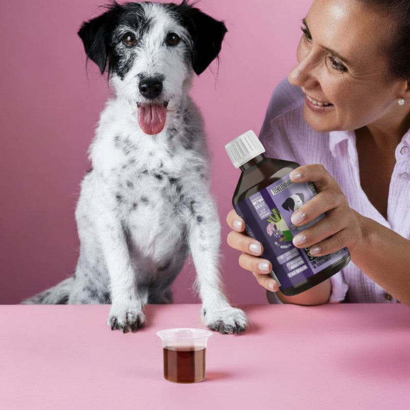 Chillout Saft für Hunde