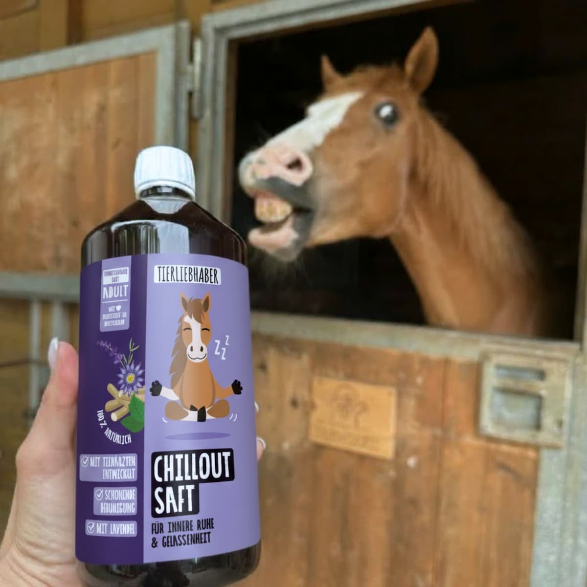 Chilloutsaft Pferd 6er Bundle
