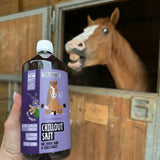 Chilloutsaft Pferd gratis